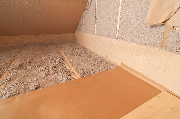 Best Residential Insulation in Ferrysburg, MI